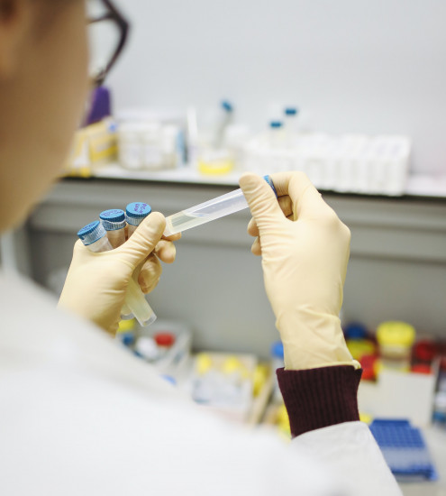 PCR-Test: der verlässliche Gold-Standard